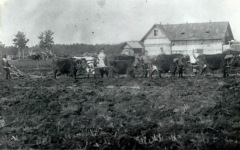 104-y